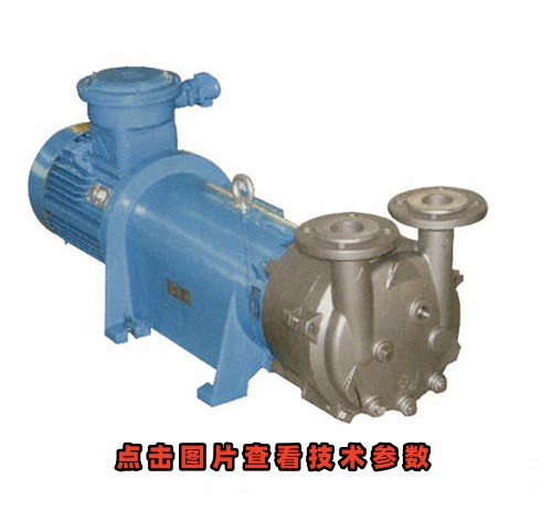 2BV-5131不銹鋼防爆水環真空泵